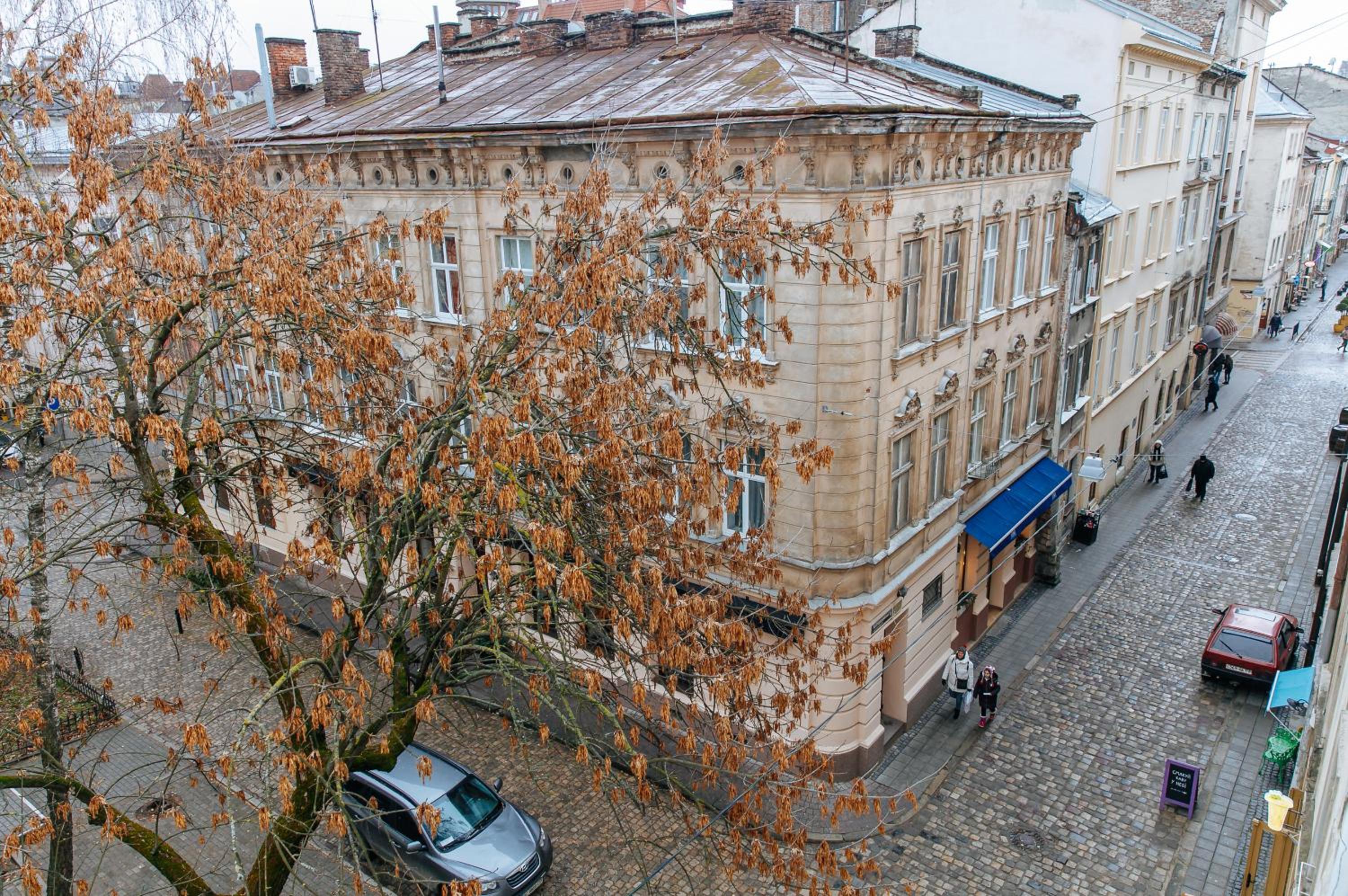 Photo 19