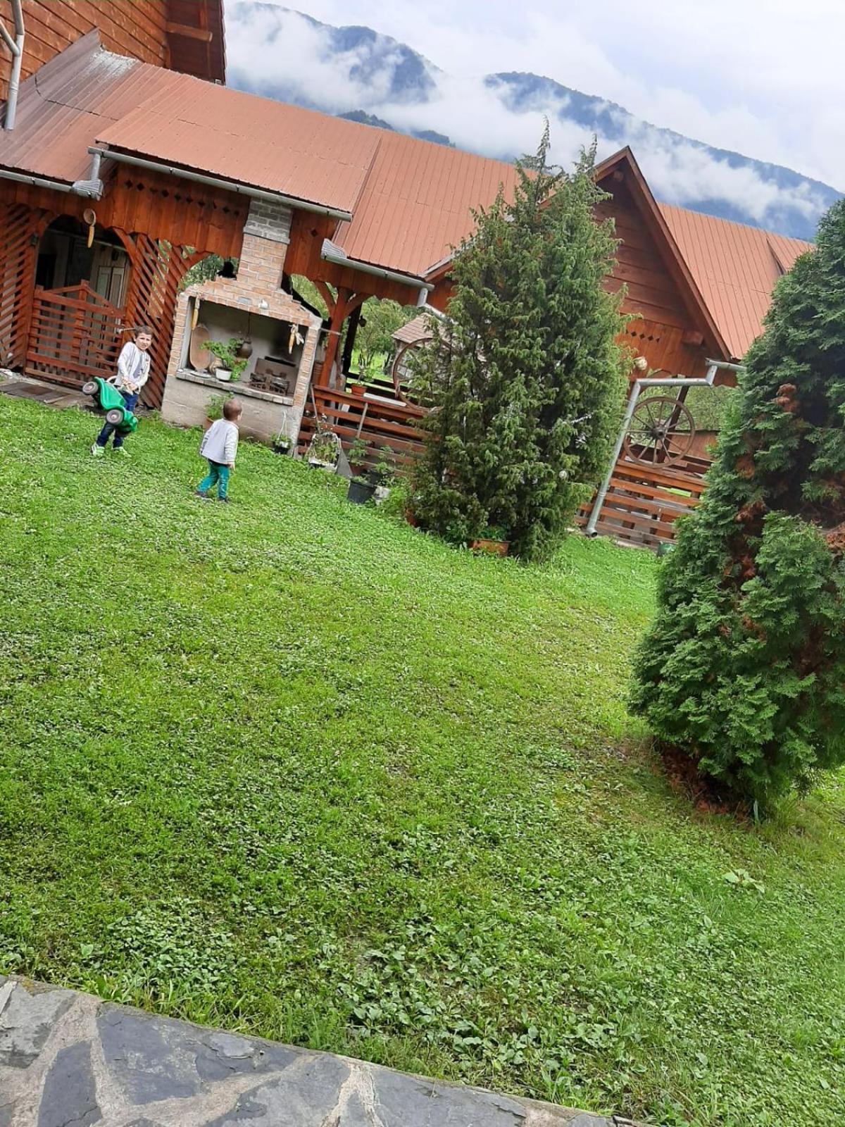 Pensiunea codru