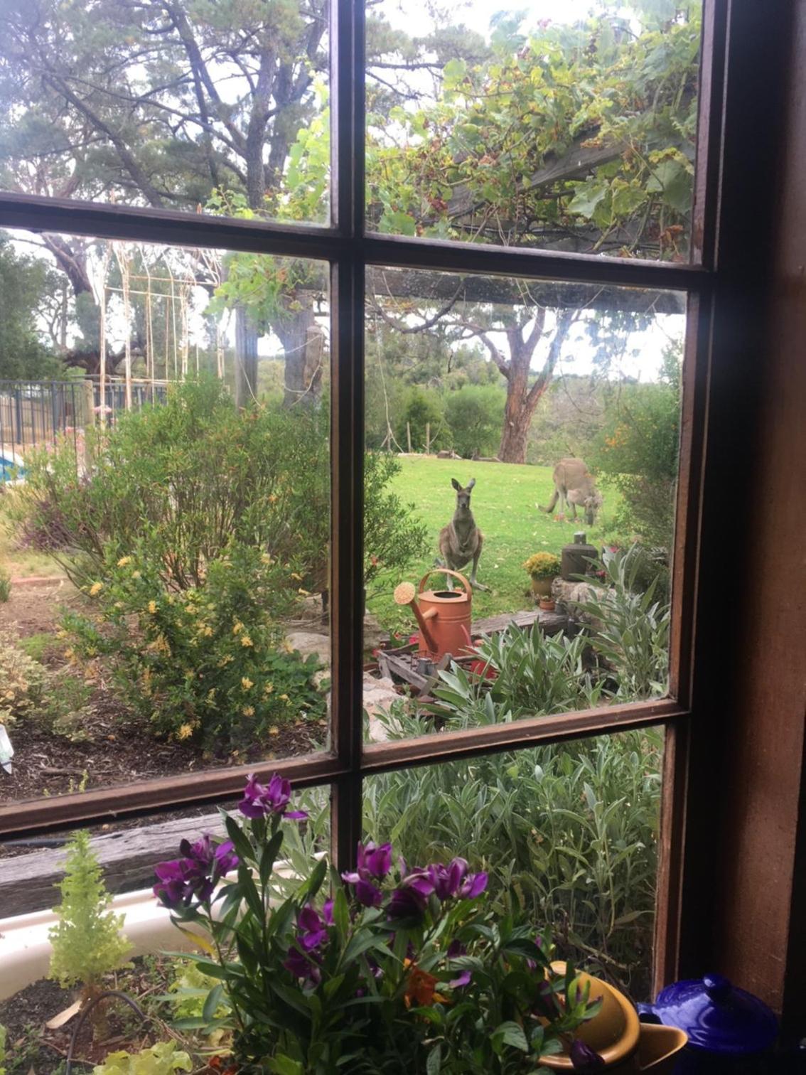 La cachette bushland hideaway