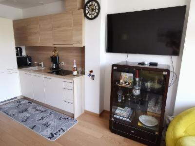 Vita Apartment view 5