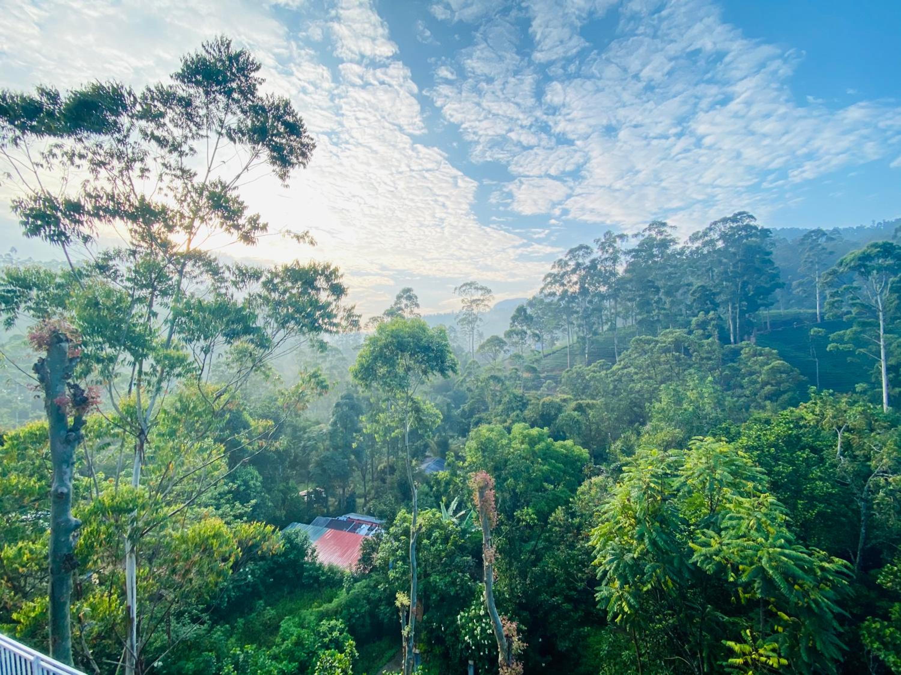 Adams Peak Inn