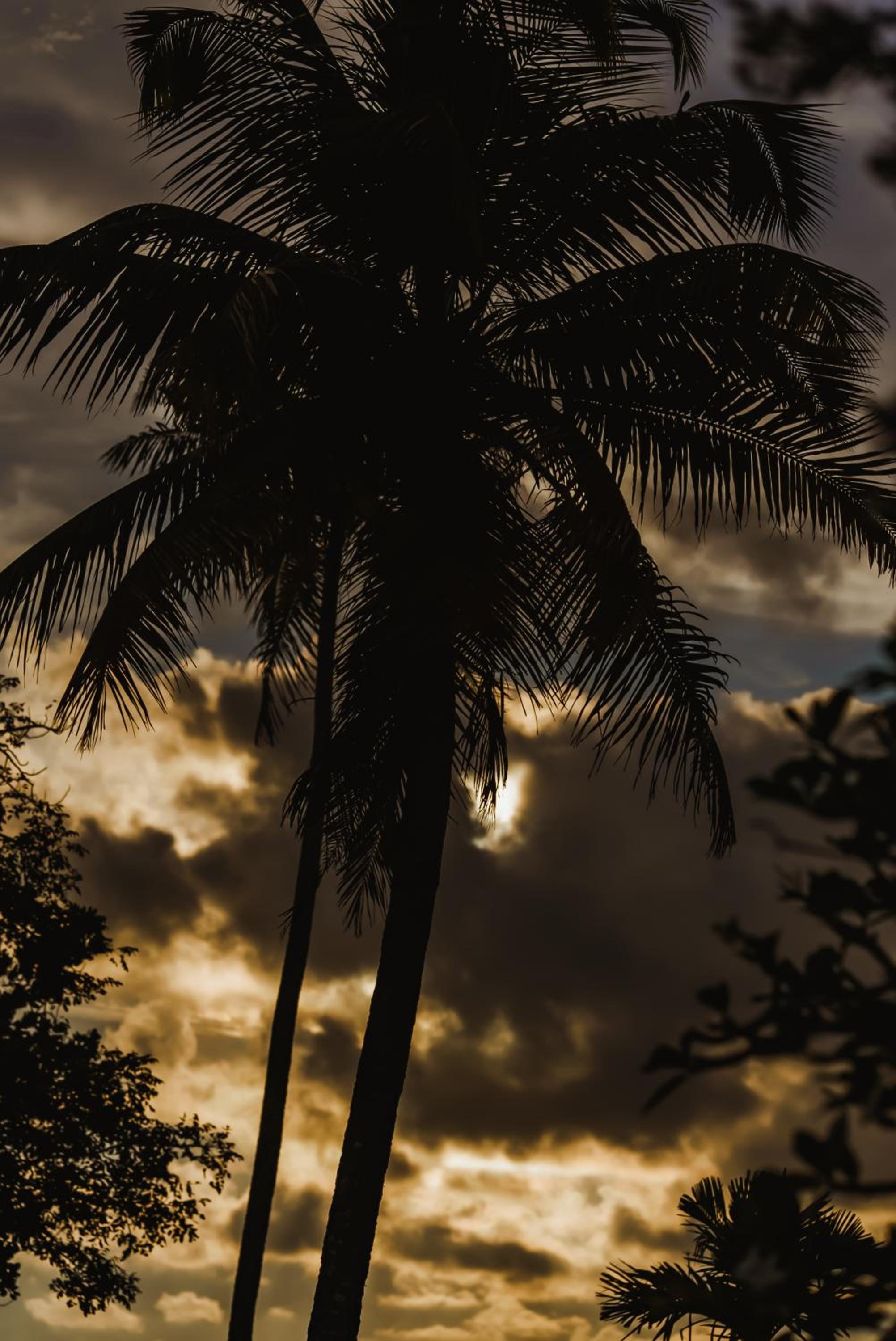 Rhythm Kumarakom