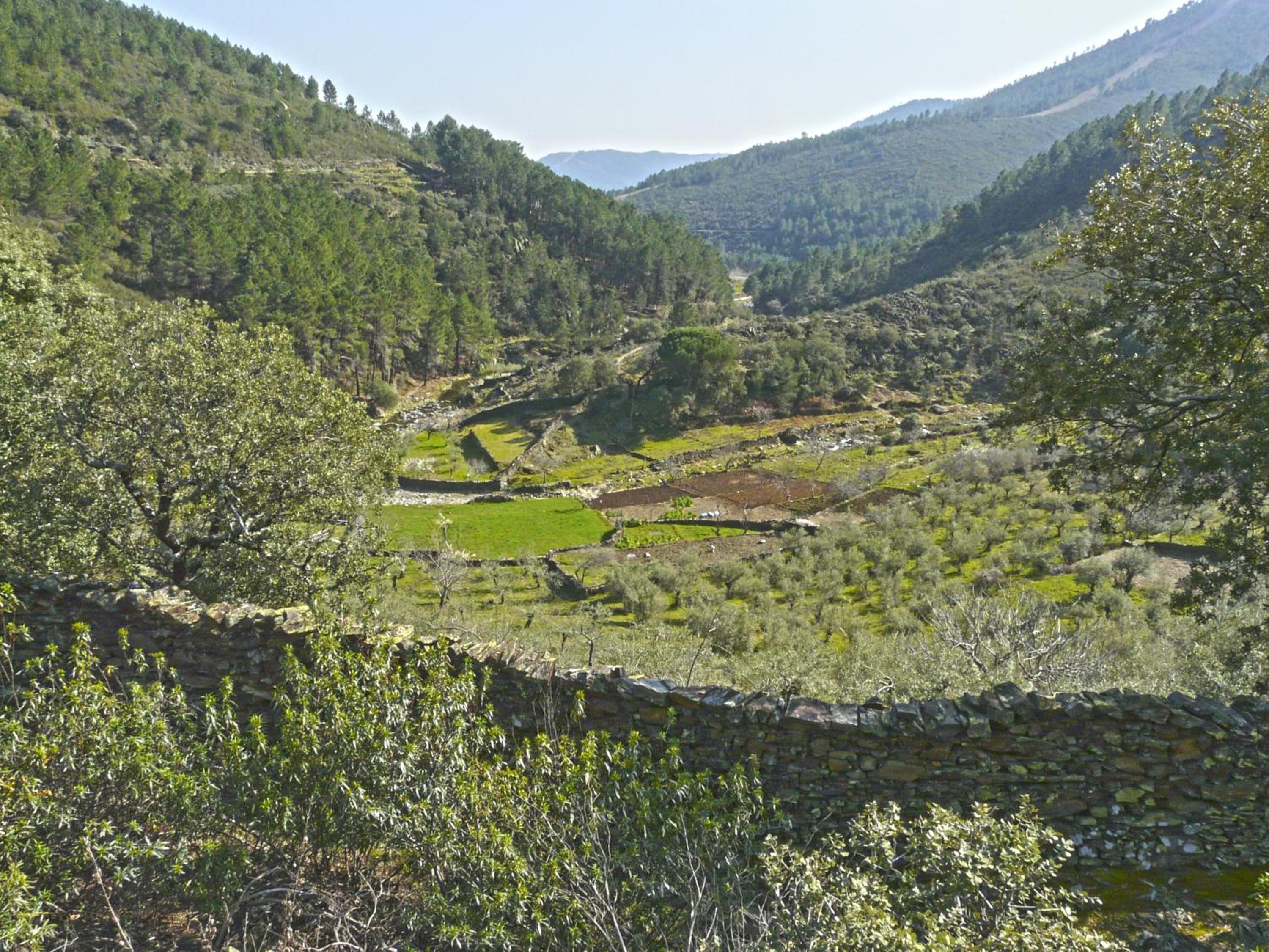Apartamentos Rurales El Prado
