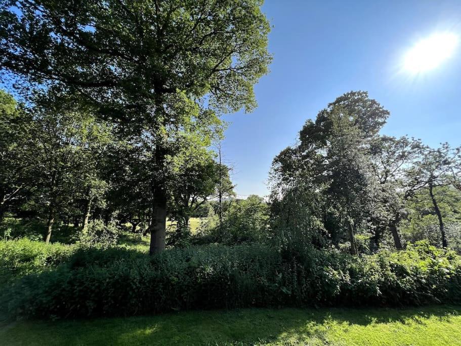 Mallard Lodge - Arscott Lodges view 5
