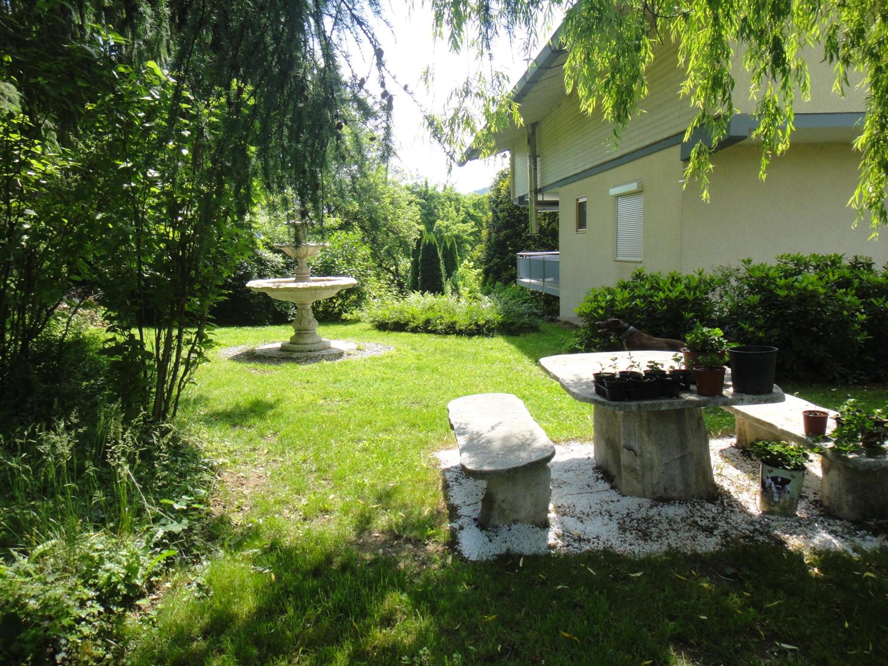 Villa Viola