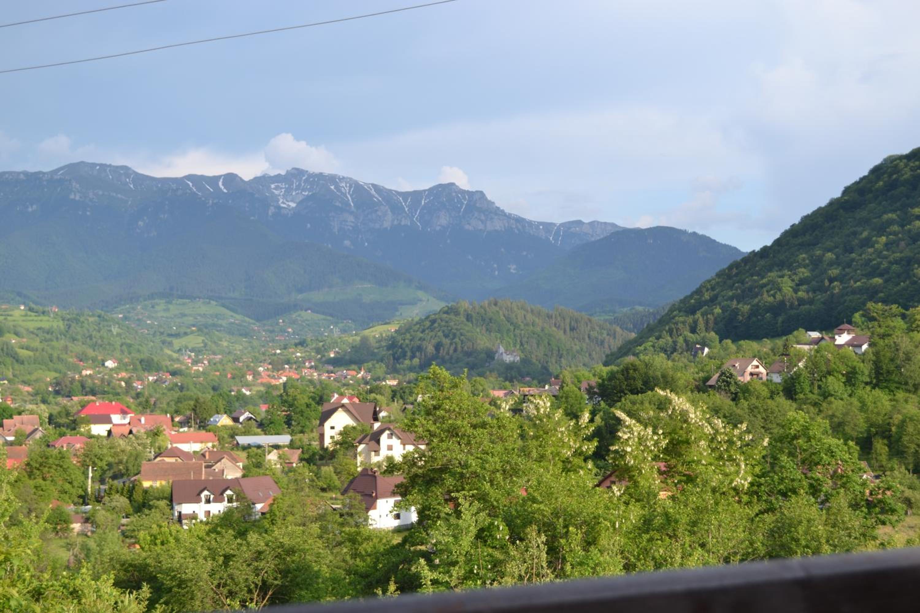 Photo 26