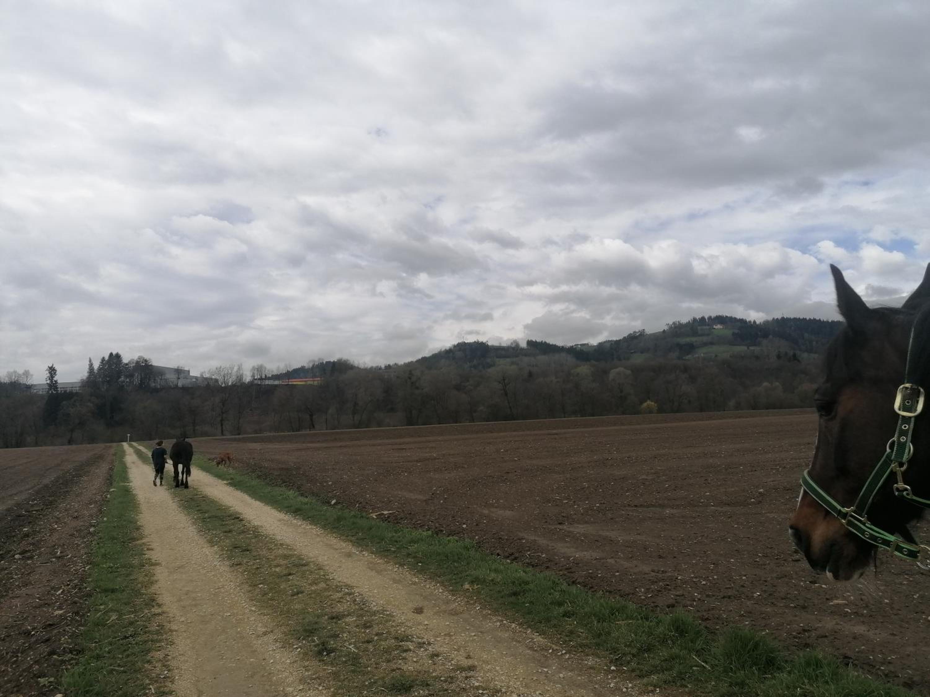 Hof Notburga - Erholung, Ruhe & Natur pur