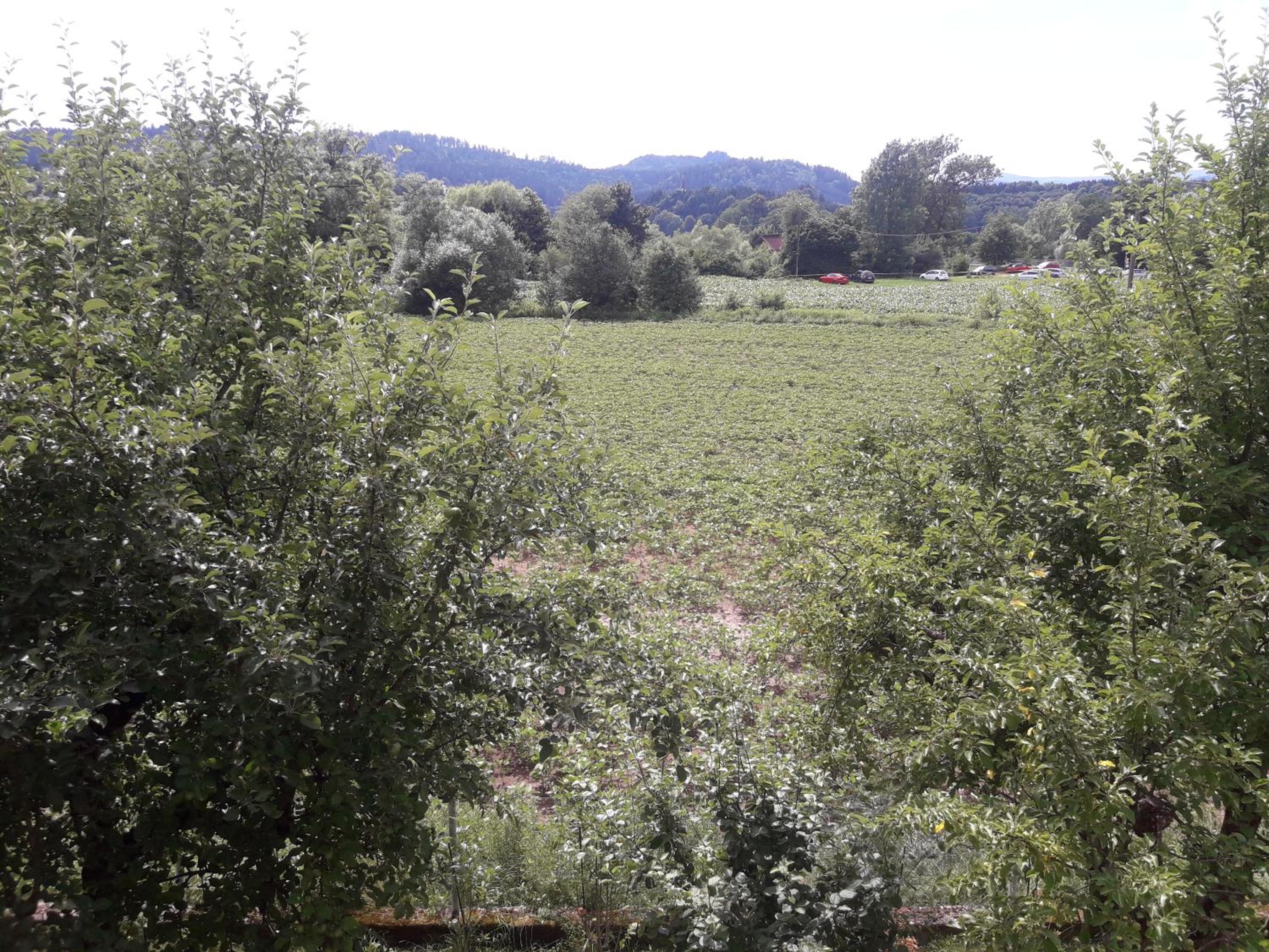 Hof Notburga - Erholung, Ruhe & Natur pur