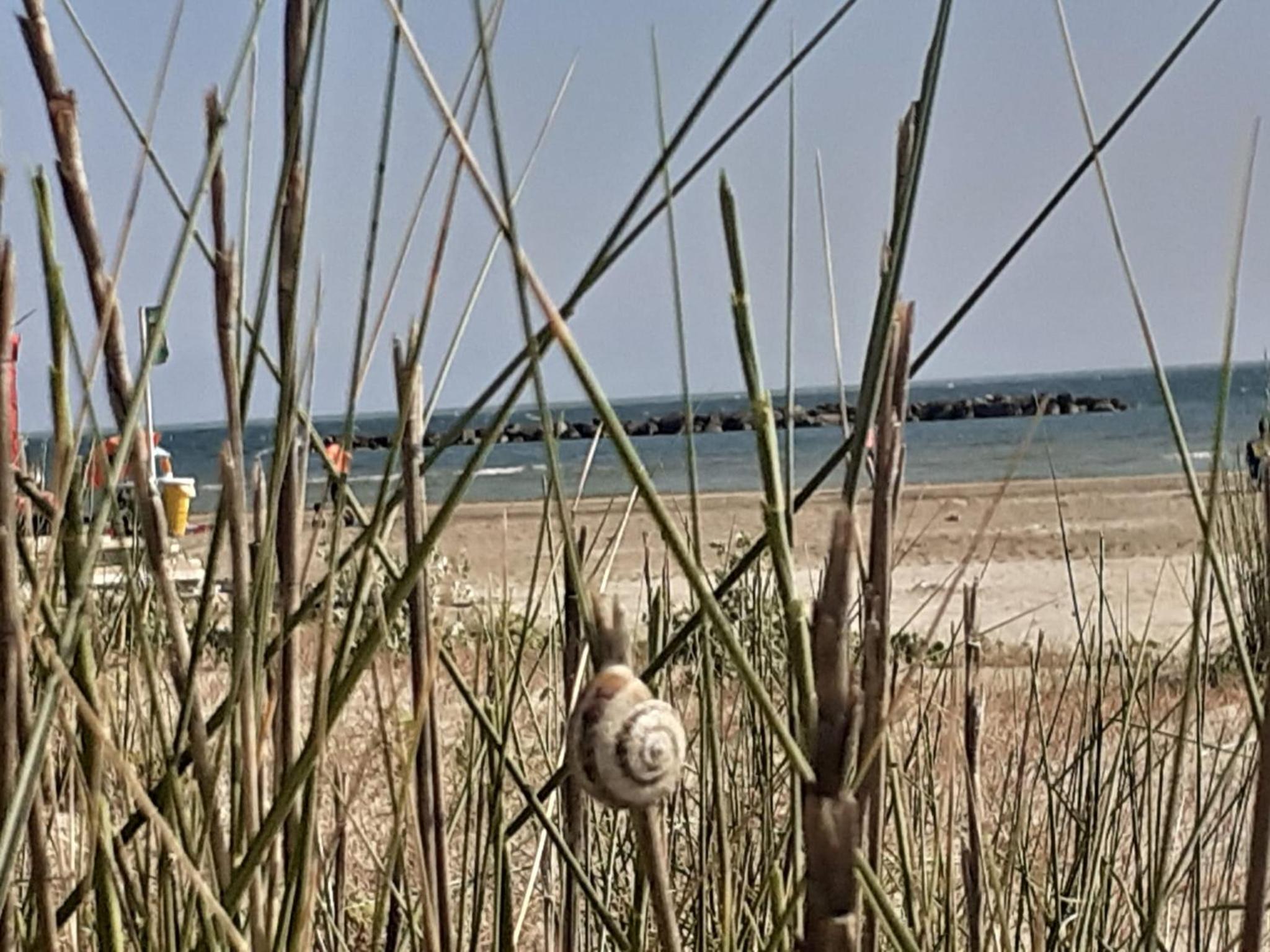 Appartamento Velvet Beach