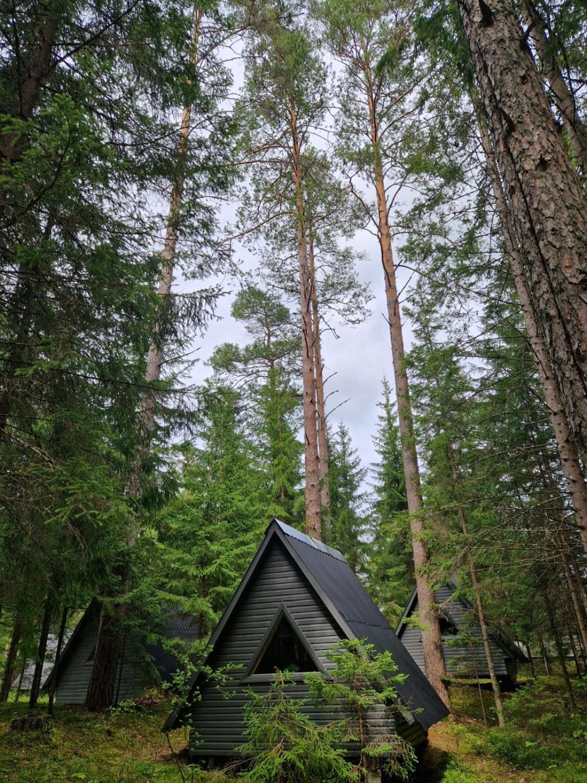 Liivakõrtsi kämping