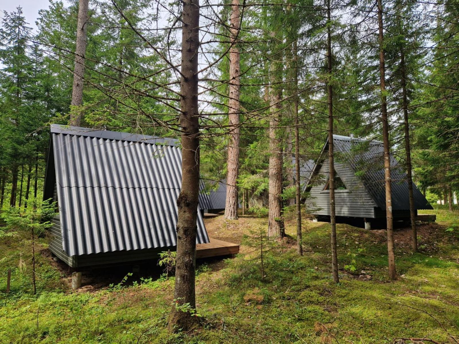 Liivakõrtsi kämping