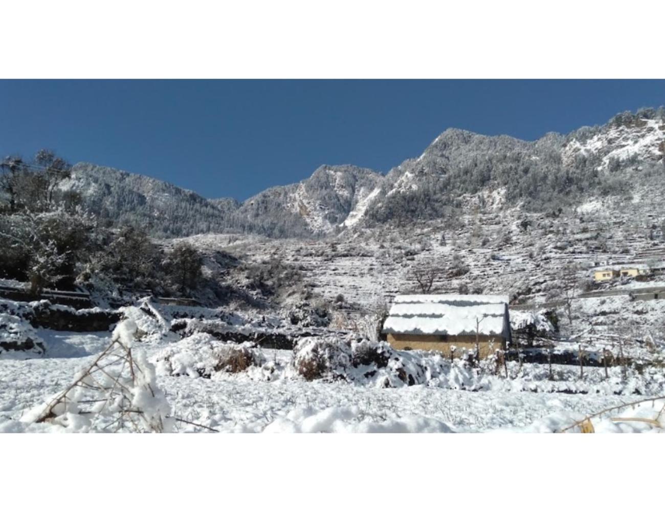 other