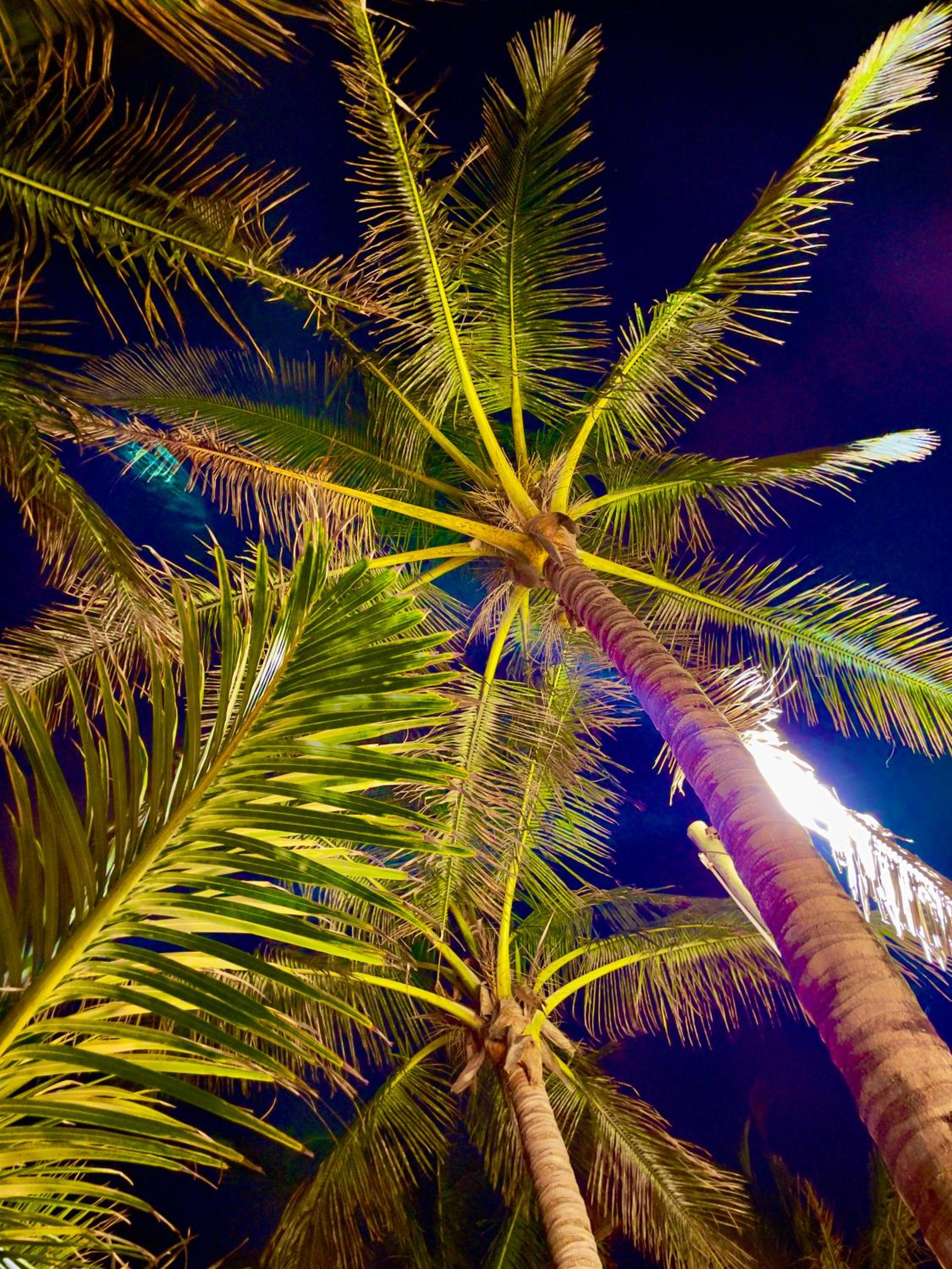 COCOVIEW BEACH HOUSE