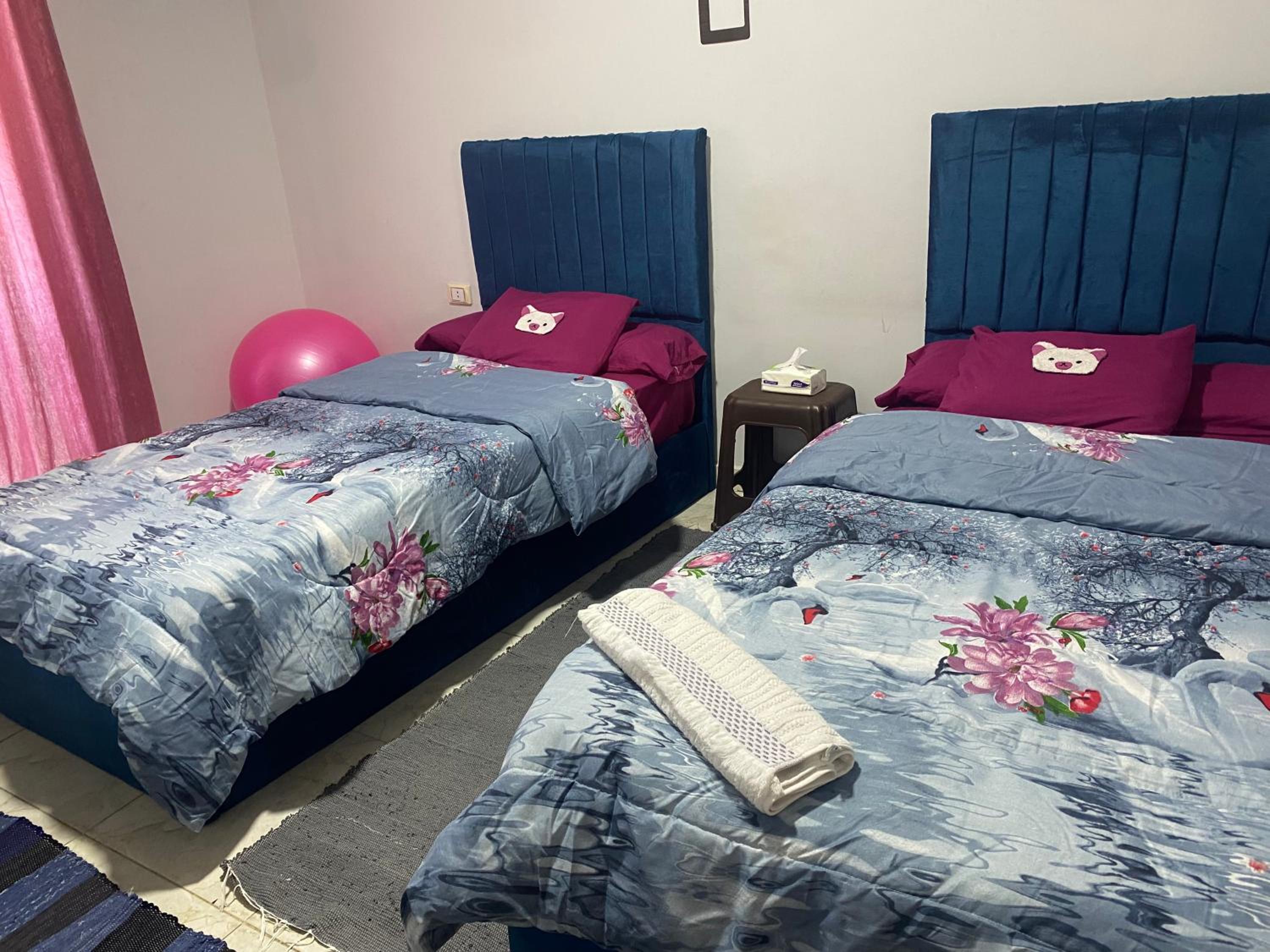 Zein Pyramids View - Guest House