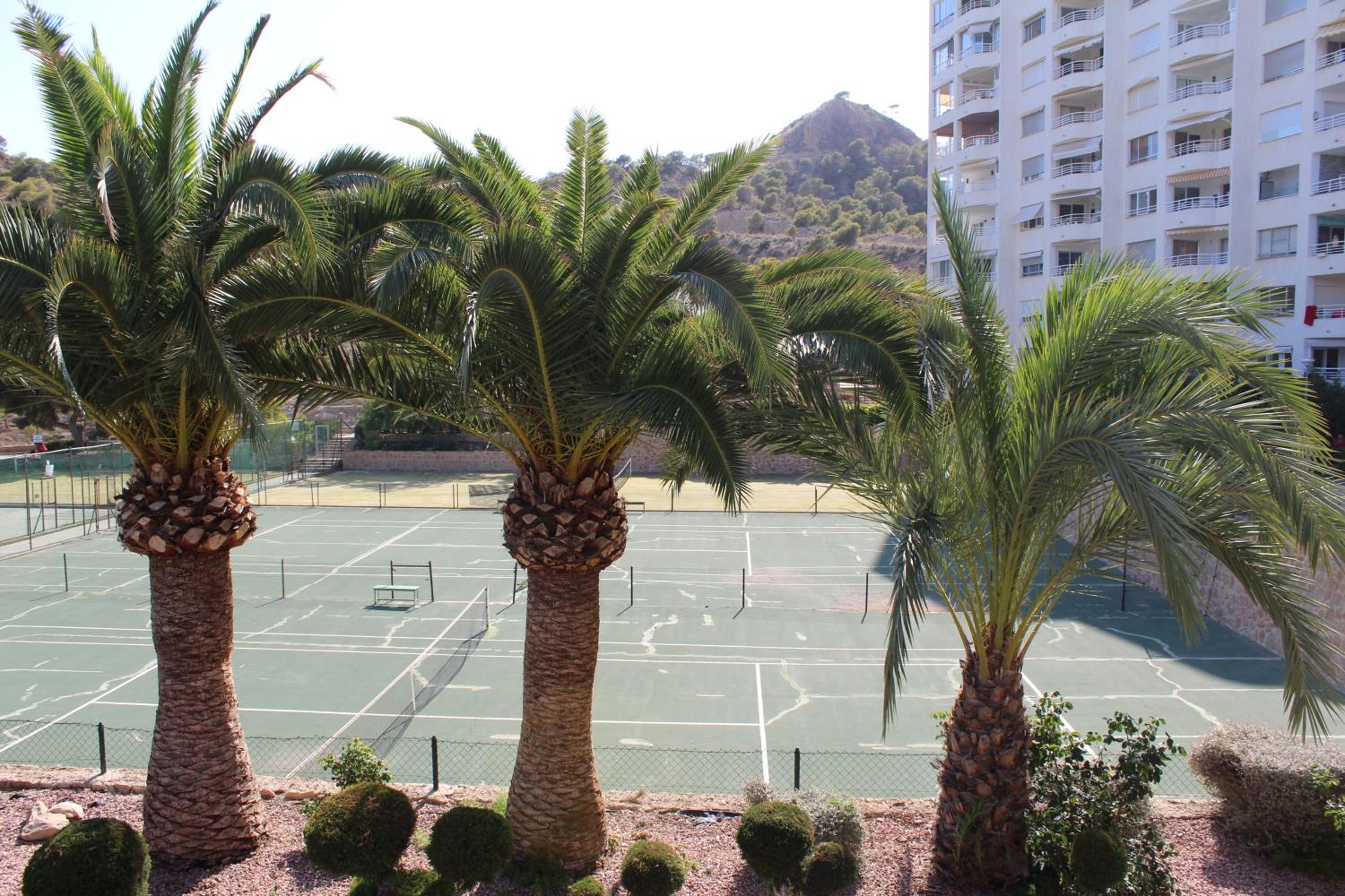 La caleta