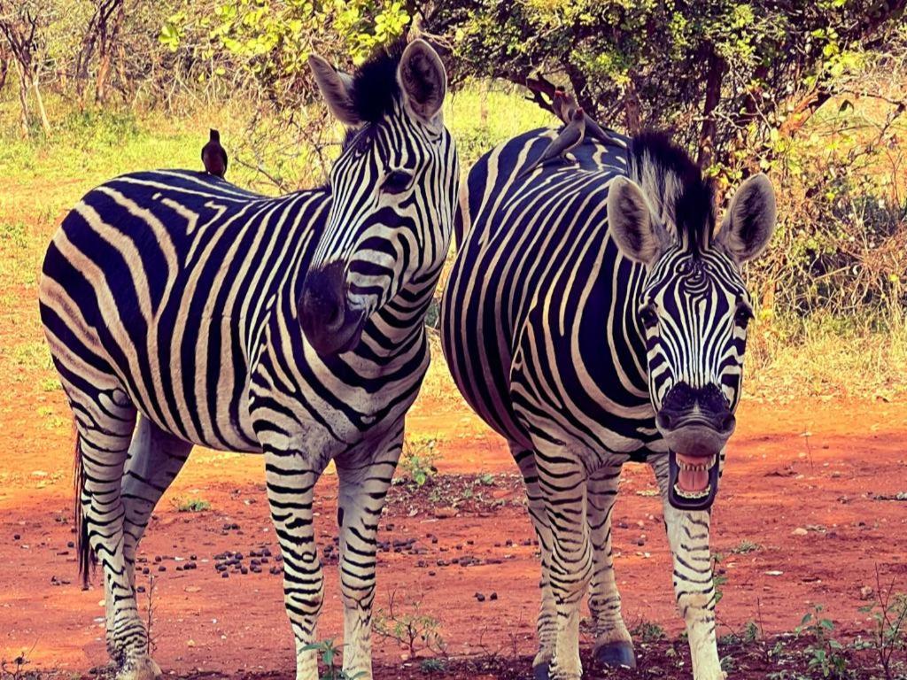 Bundu