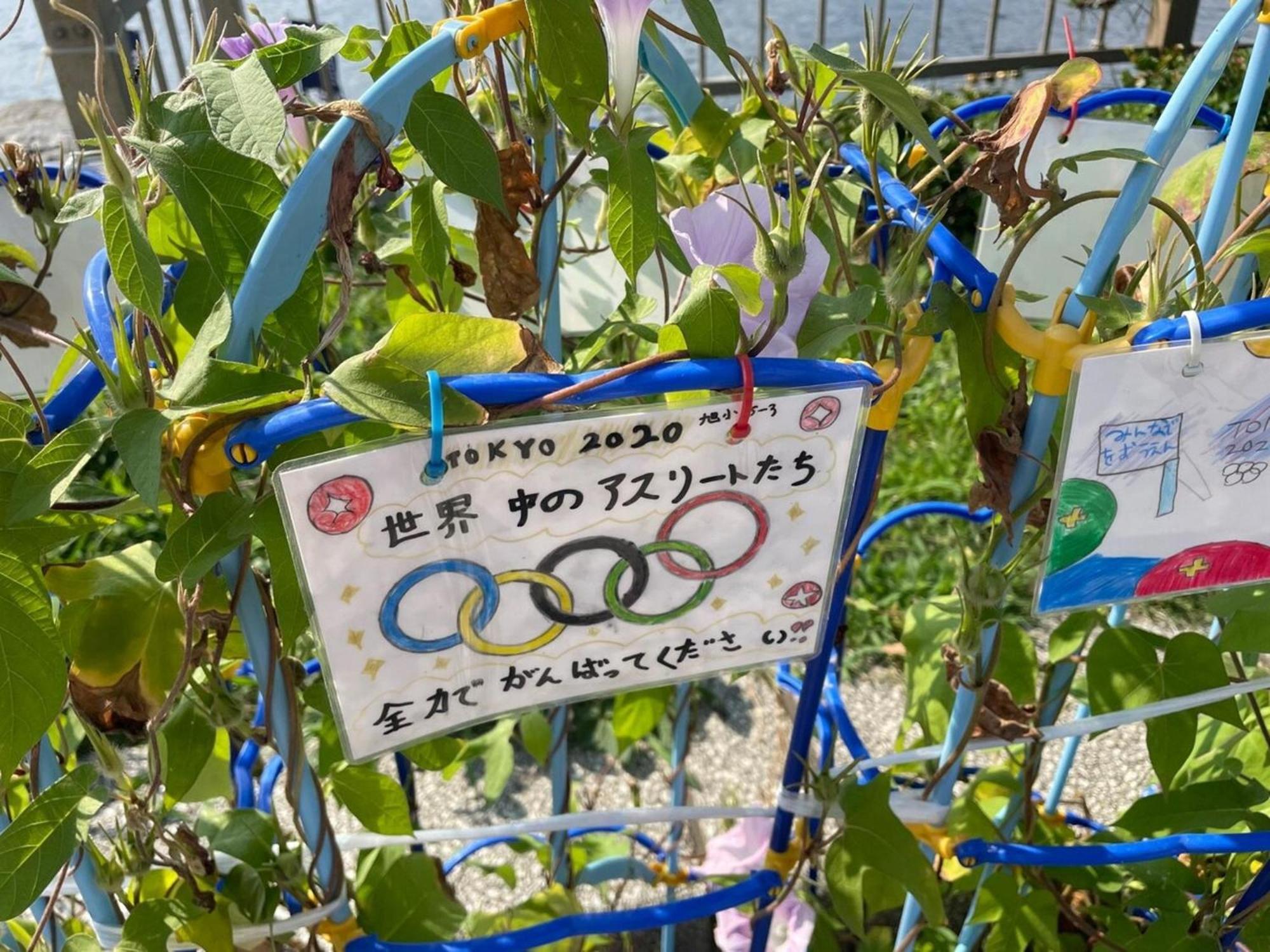 Photo 41