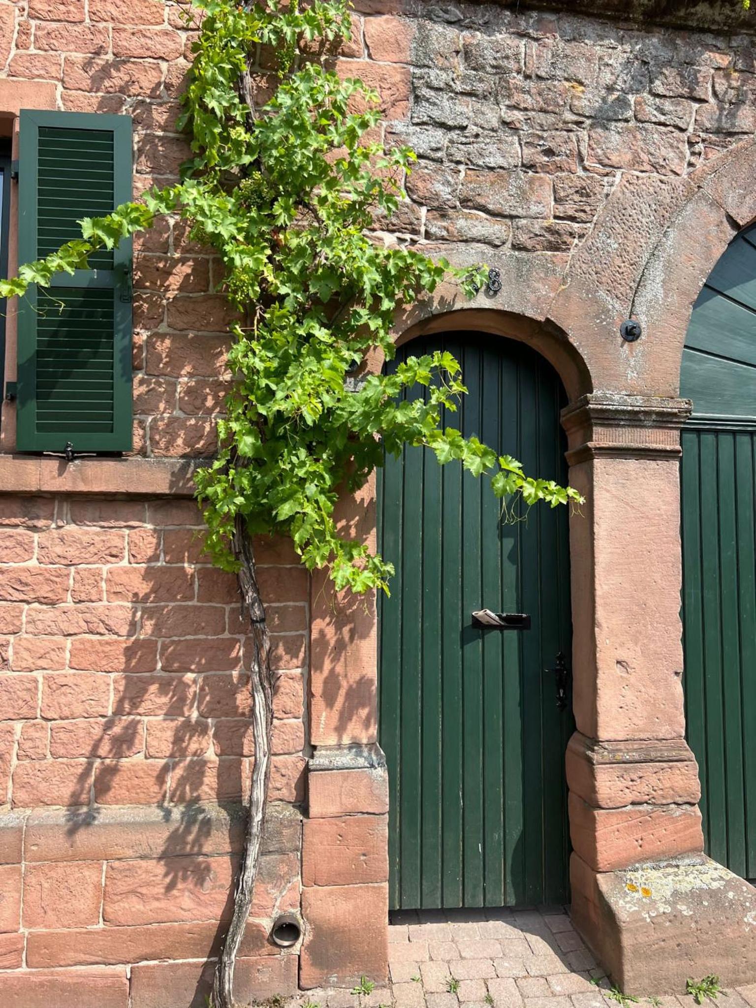 Vyne Apartments - Studio - Privater Hof - Parkplatz - nahe Weinstraße