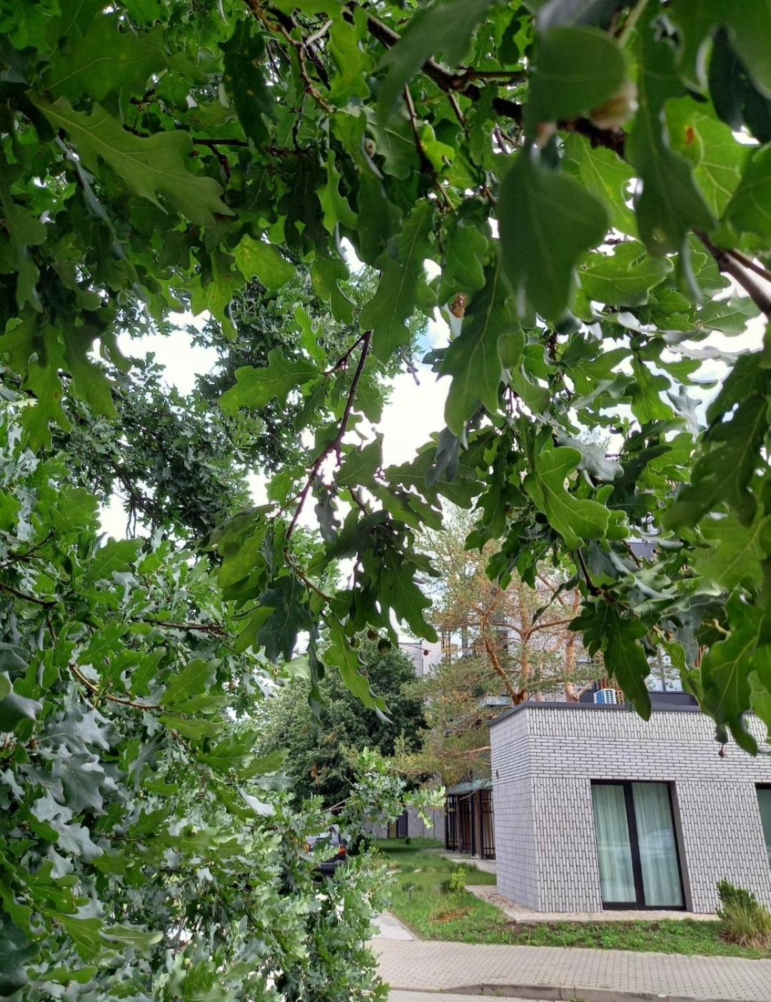 ApartamentFortuna1
