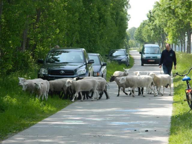 Logie CountryHeart zonder ontbijt