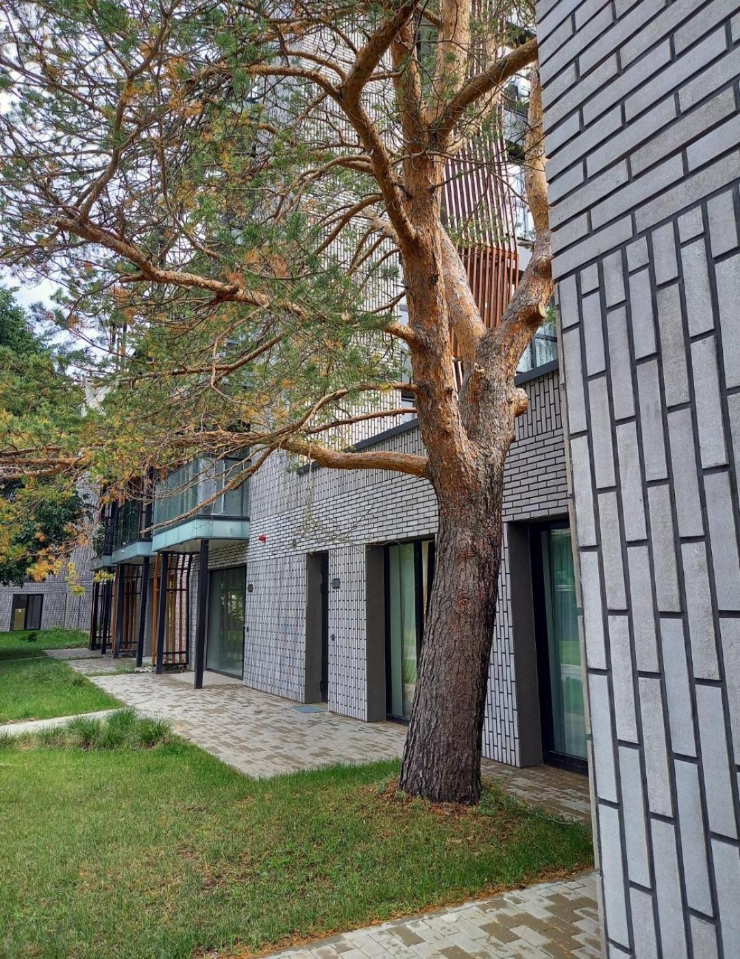 ApartamentFortuna1