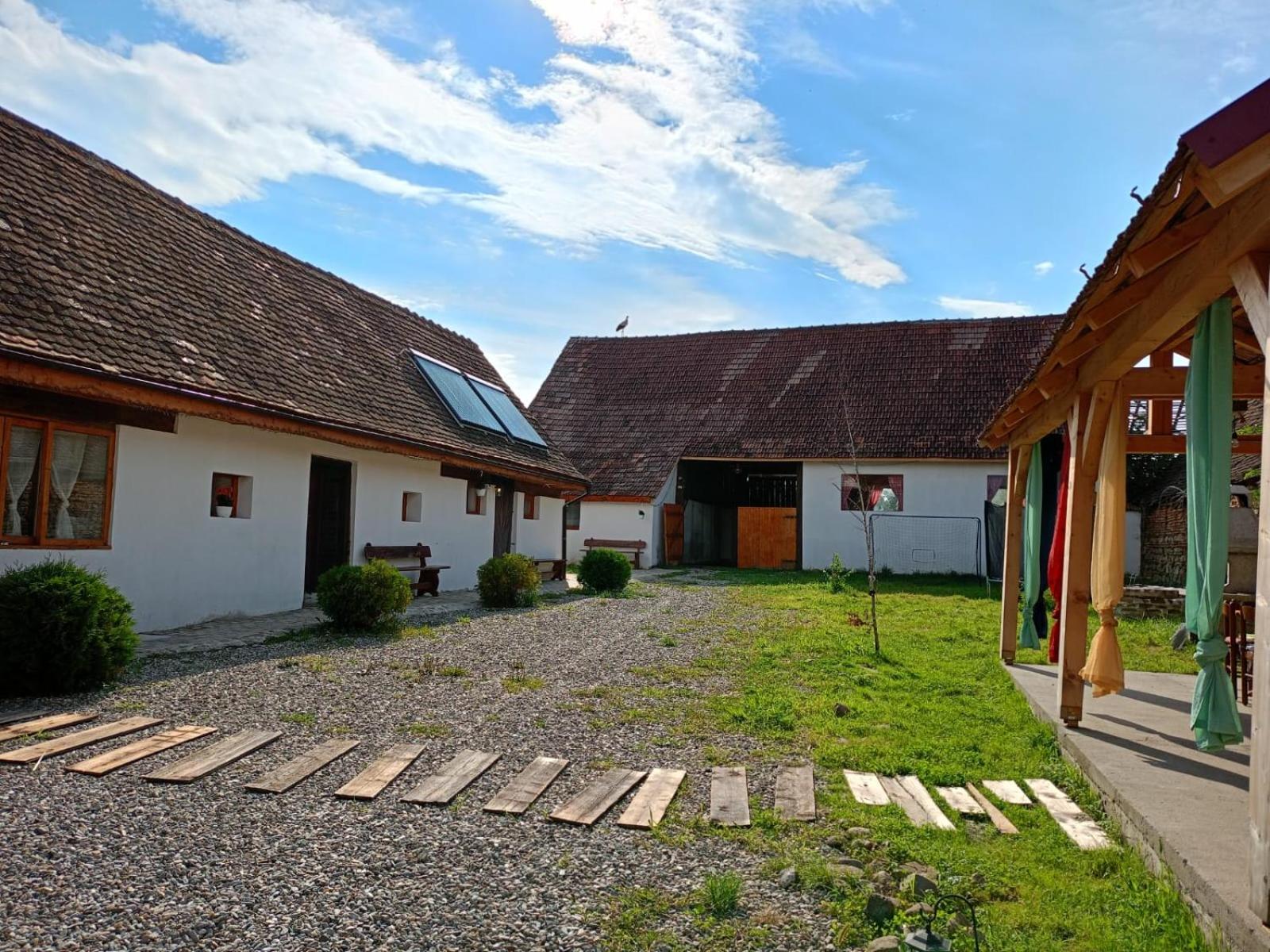 Photo 45