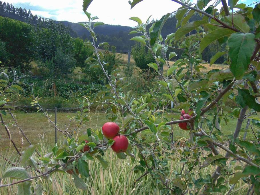 Huon Valley retreat in Nicholls Rivulet