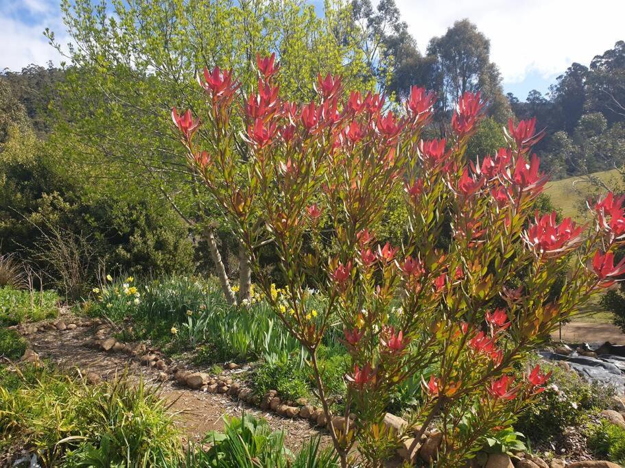 Huon Valley retreat in Nicholls Rivulet