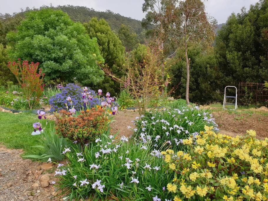 Huon Valley retreat in Nicholls Rivulet