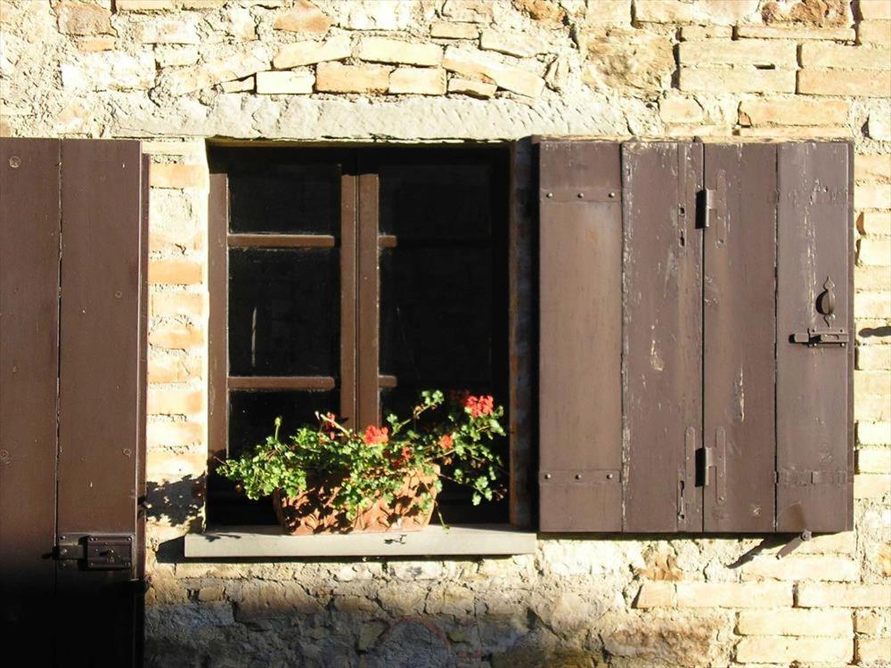 Maridiana Alpaca Country House