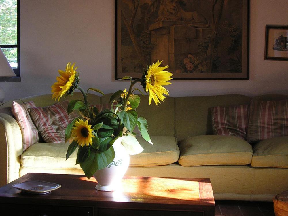Maridiana Alpaca Country House