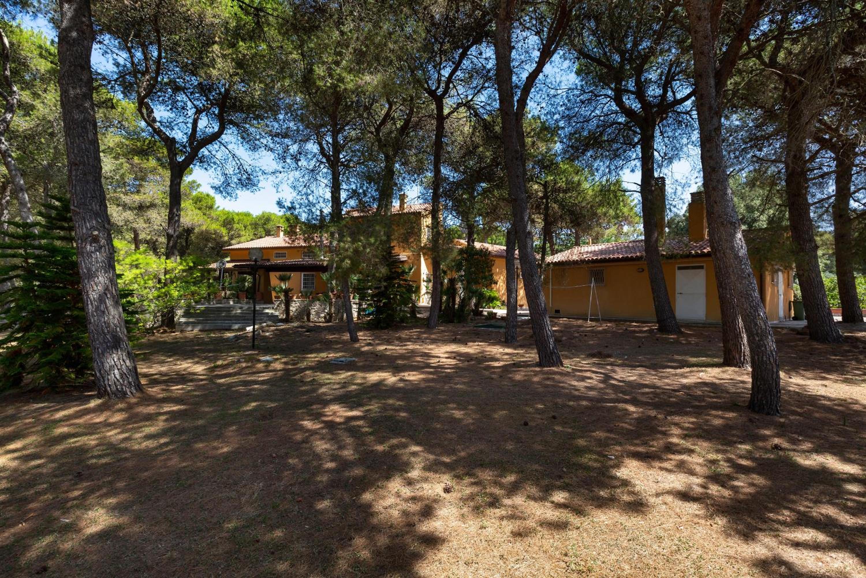 Photo 82