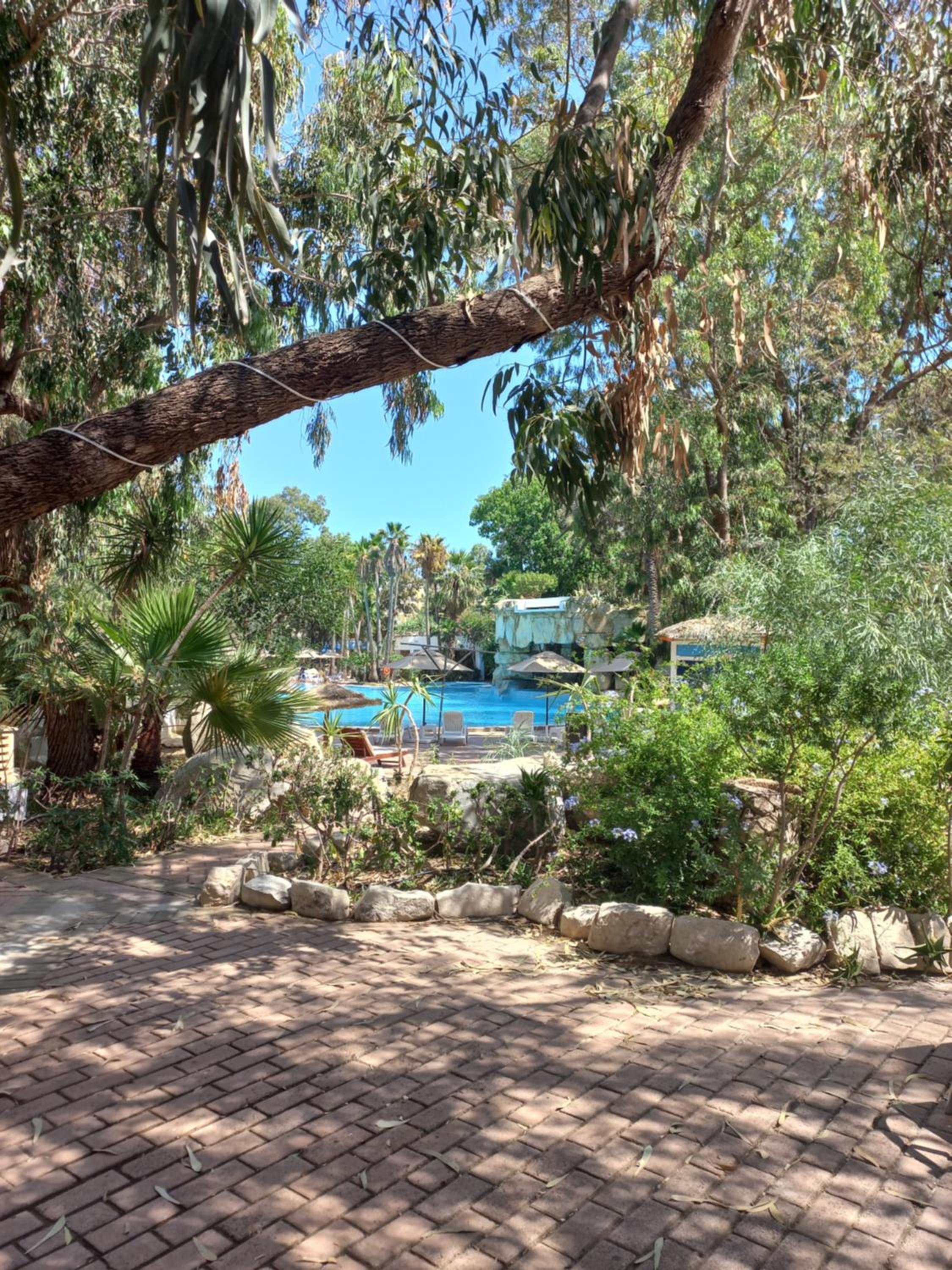 Hammamet Vacations - Tunisia Lodge - Property Image 12