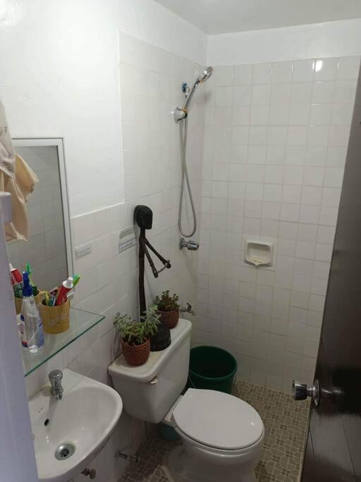 Melia's House Baguio - Nature Home for Rent view 2