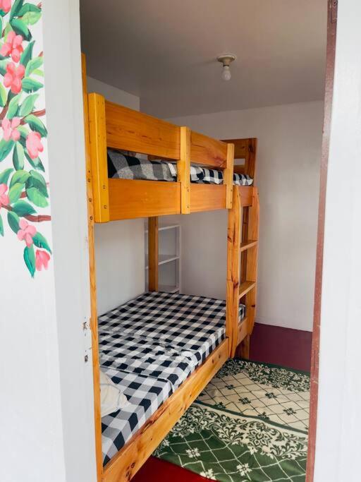 Melia's House Baguio - Nature Home for Rent view 5