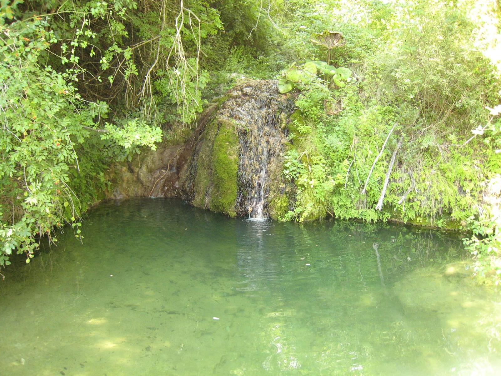 Photo 28