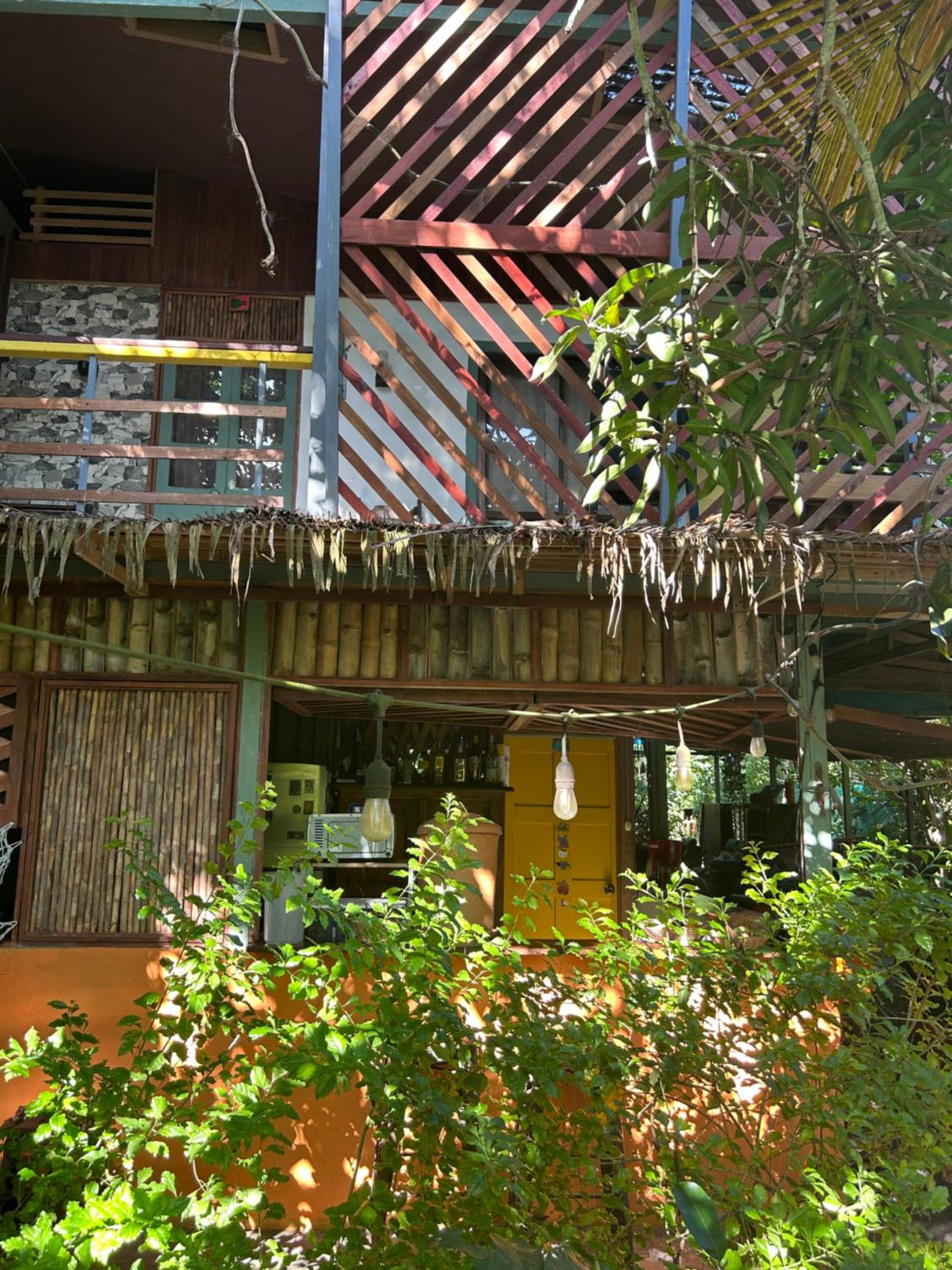 Orgánico Punta Riel