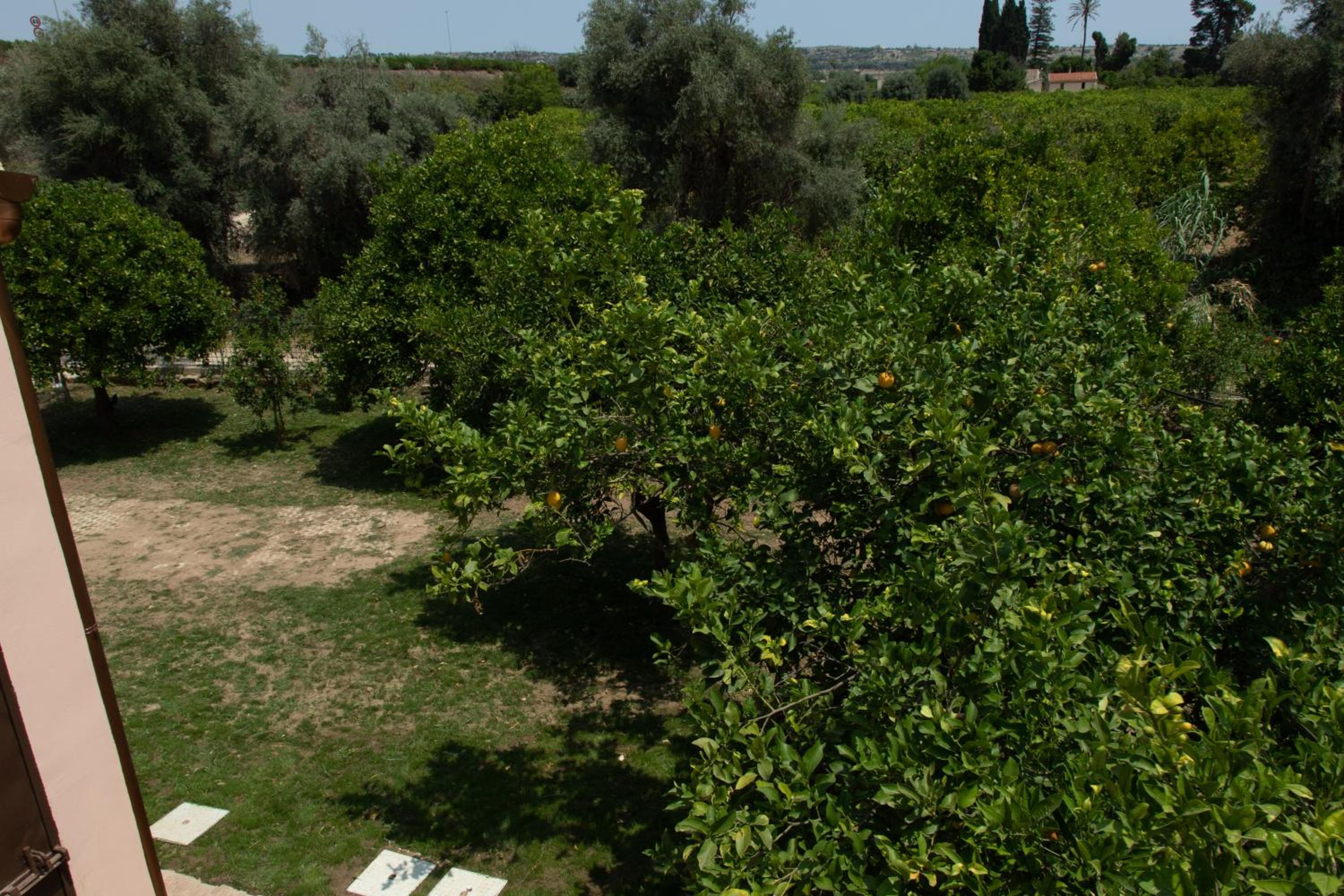 Photo 42