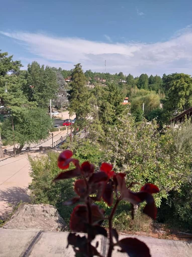 Cucu Haus Hostel