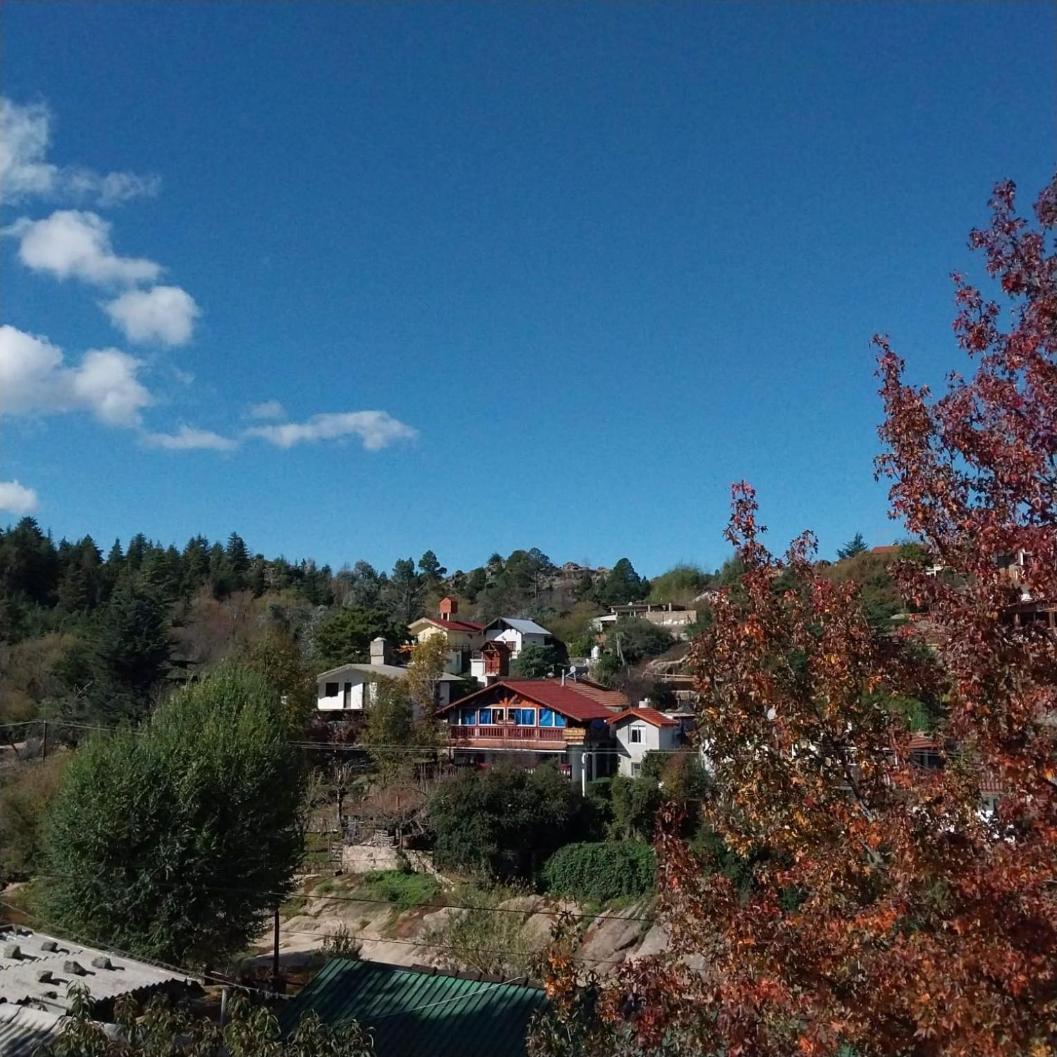Cucu Haus Hostel