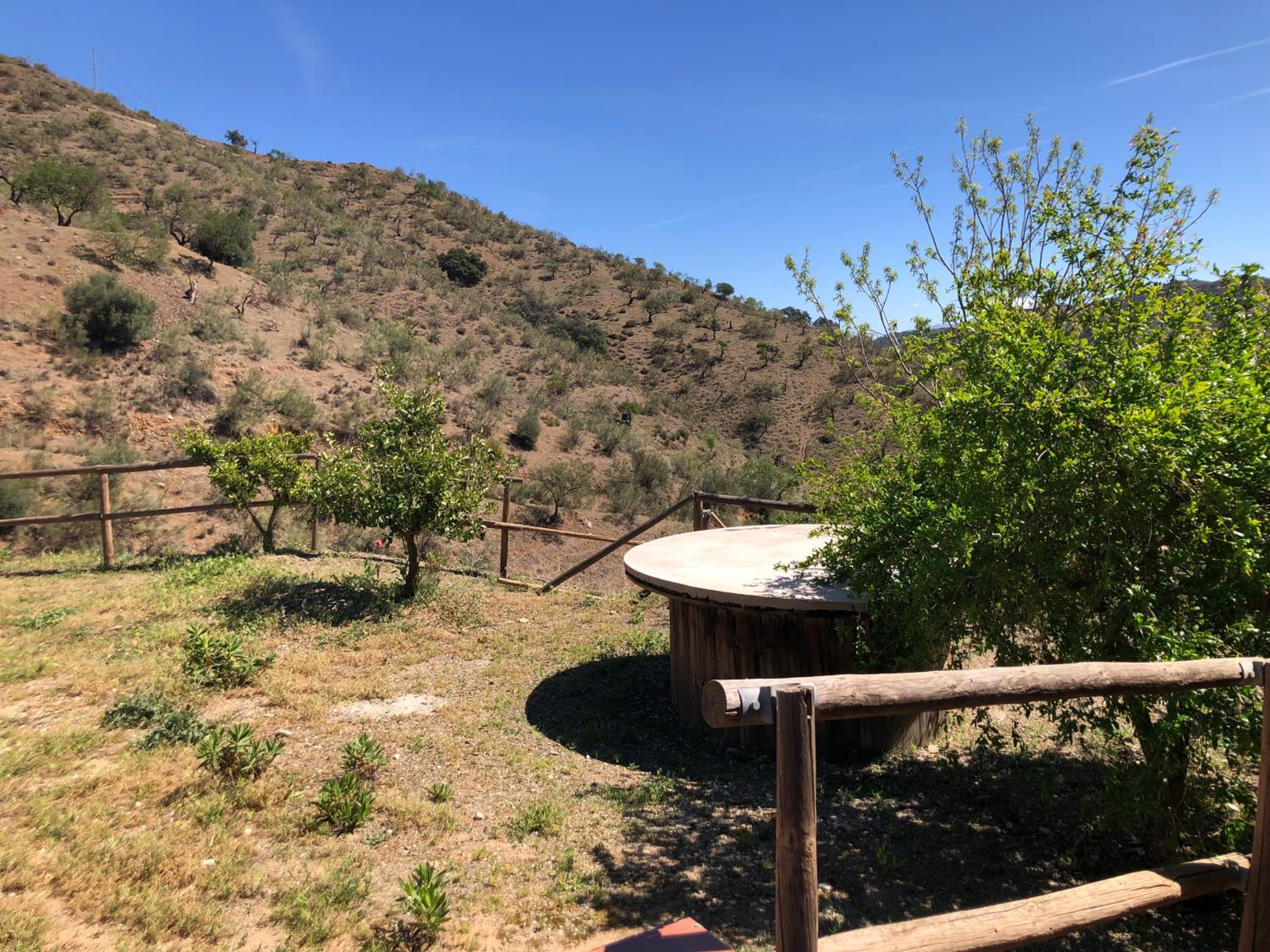 Mirador Del Burro