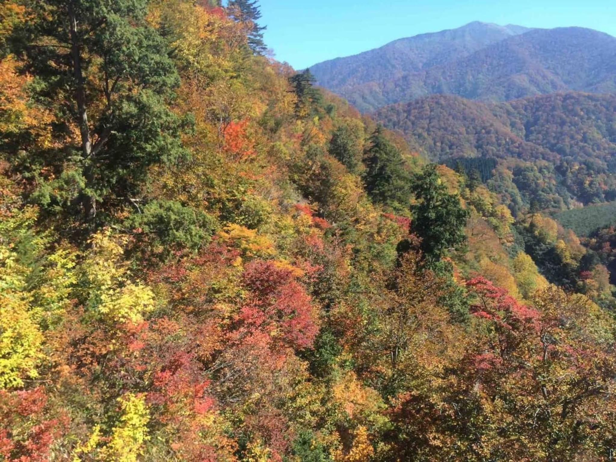 Ryokan Yuzawa - Vacation STAY 14222v