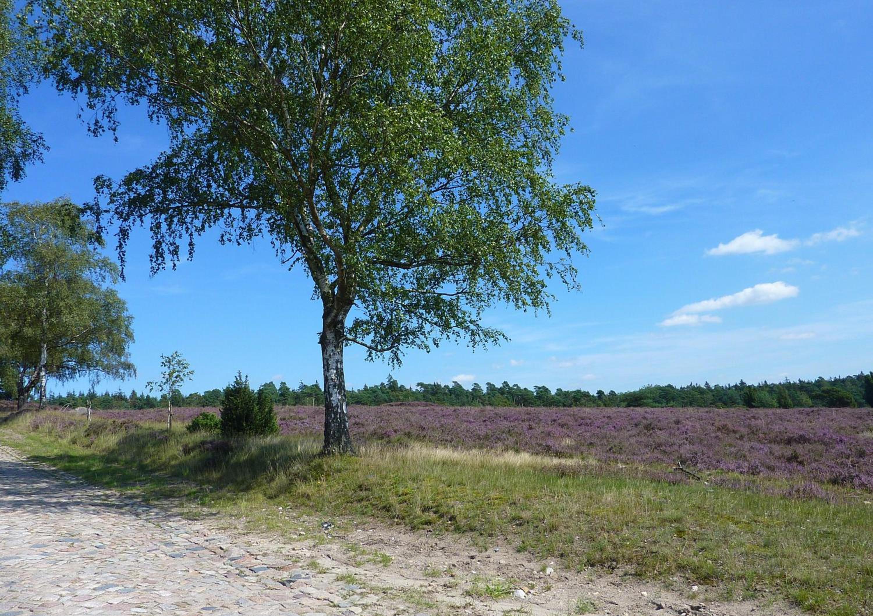 Landhaus Heide