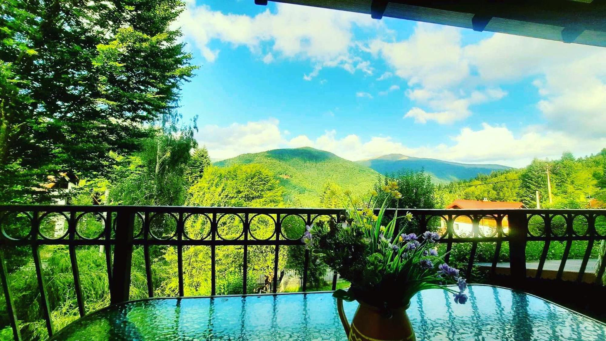 Iepurasul Sinaia