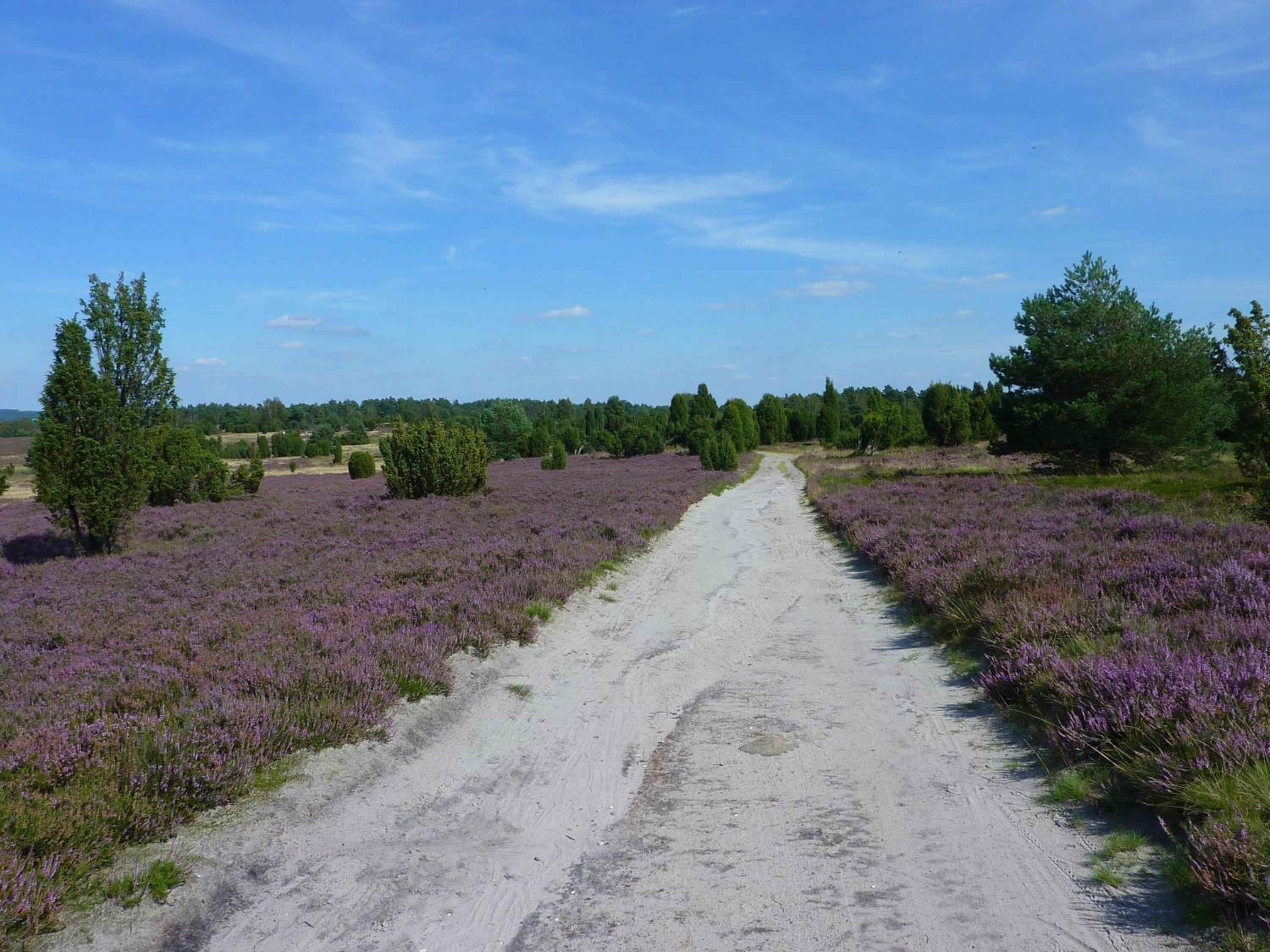 Landhaus Heide