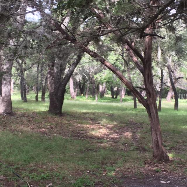 Nueces River Cabins-Oak Cabin