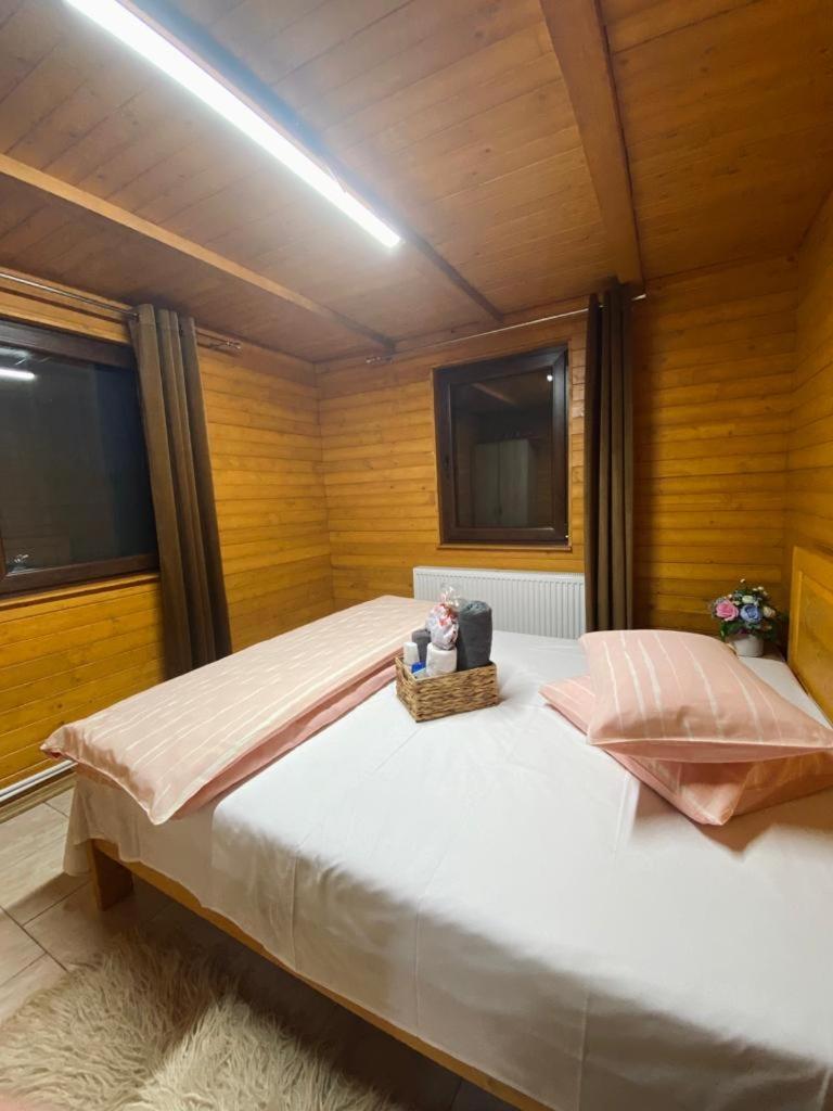 Cabana cu Mesteceni view 5