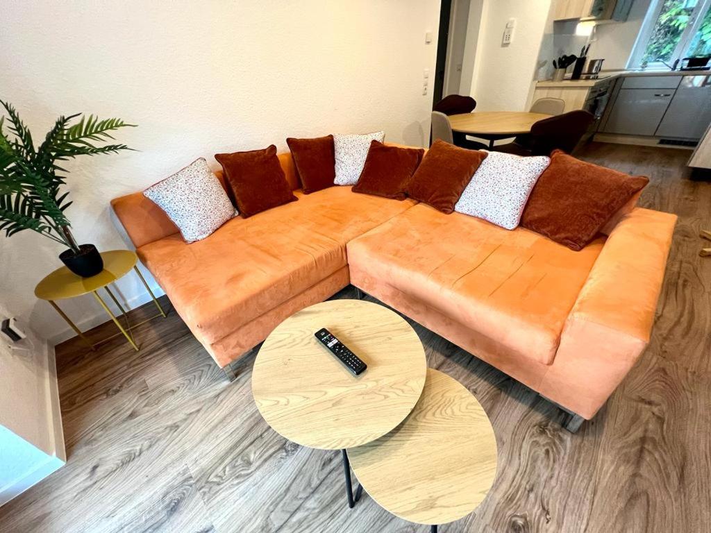 Exklusive Neubauwohnung mit wundervoller Aussicht nähe Europapark und Rulantica