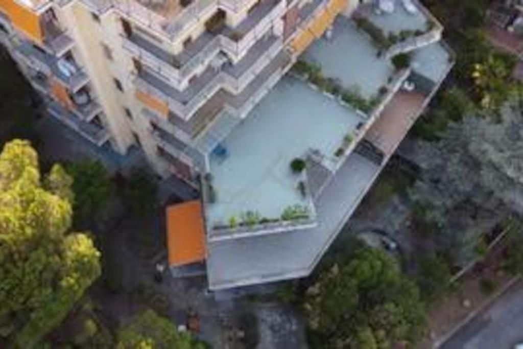 Water lily residence