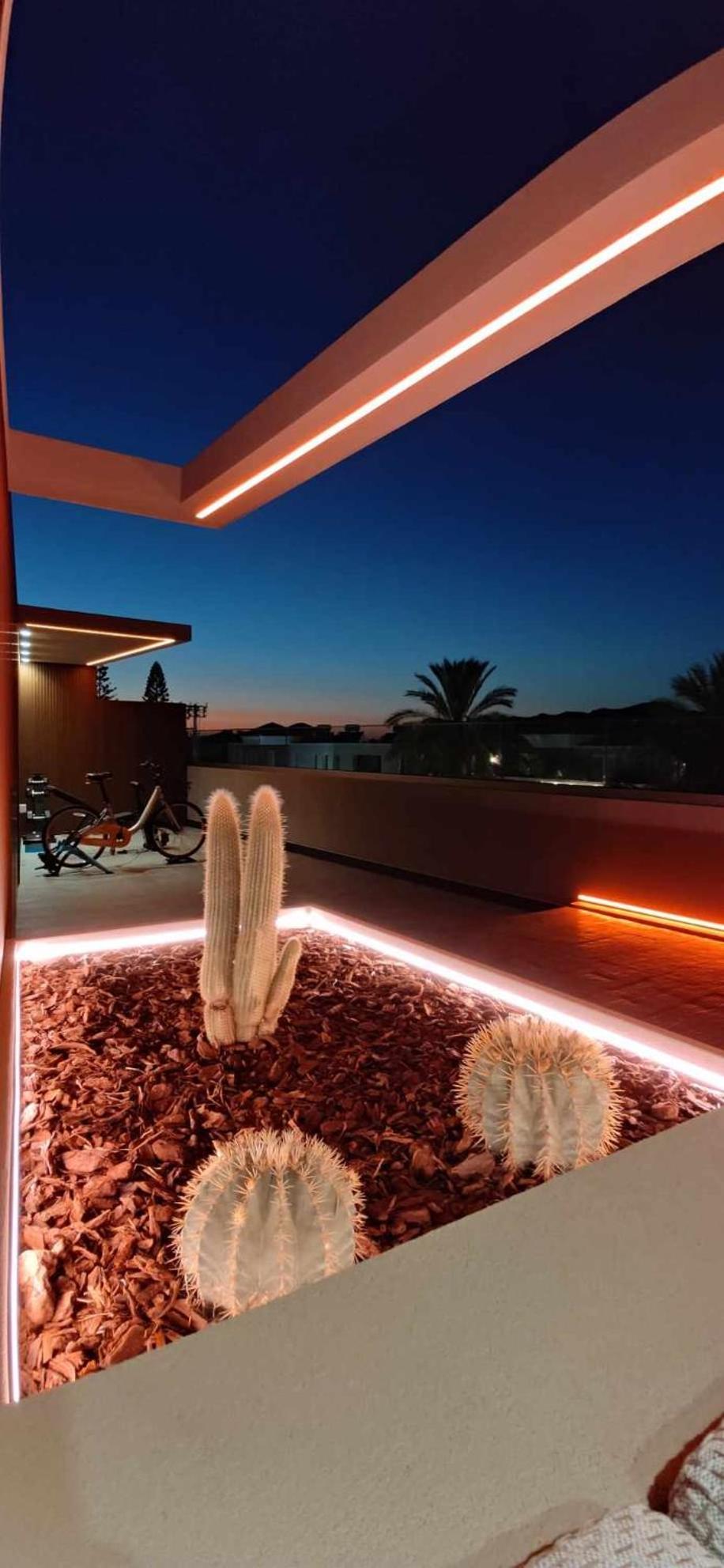 Summertime Signature Suites